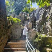Nature’s Masterpiece at Stone Forest
