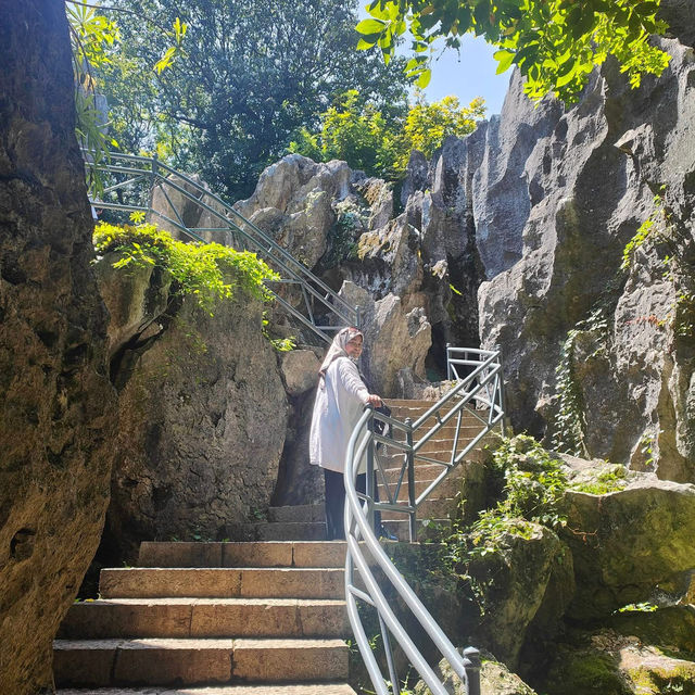 Nature’s Masterpiece at Stone Forest