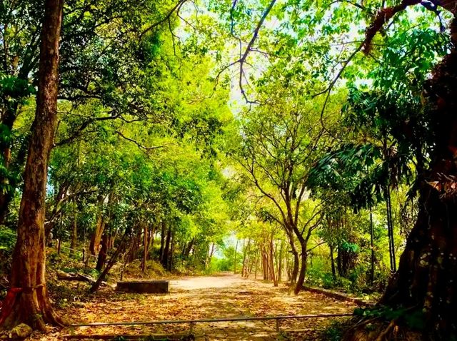 歷史見證的海防遺跡：Phairi Phinat Fort