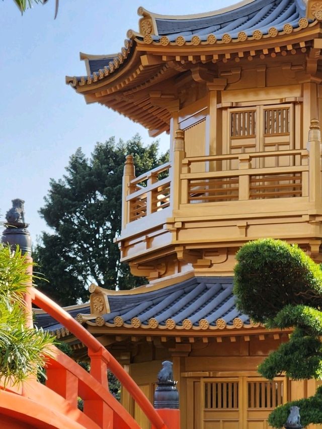 香港禪意半日遊！志蓮淨苑+南蓮園池🏡嘆一陣靜謐禪意😂