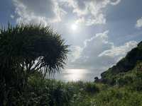 沖繩東海岸之美