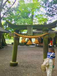 유후인의 보석, 킨린호수 옆 신사 산책 ⛩️✨