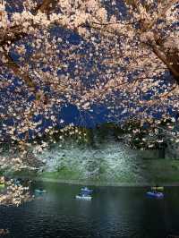 2025.03.28 櫻花季東京獨旅五天四夜行程 p6 第四天行程大公開(6.東京鐵塔)