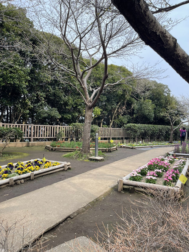 🏝️ Enoshima Island – A Coastal Escape Near Tokyo 🏝️ Enoshima Island – A Coastal Escape Near Tokyo