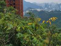 Wong Nai Chung Reservoir Park黃泥涌水塘公園