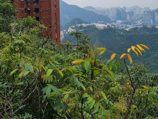 Wong Nai Chung Reservoir Park黃泥涌水塘公園
