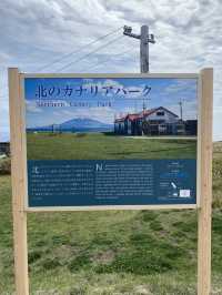  映画のロケ地がそのまま公園に！礼文島「北のカナリアパーク」で絶景ひとり占め🎬🌿