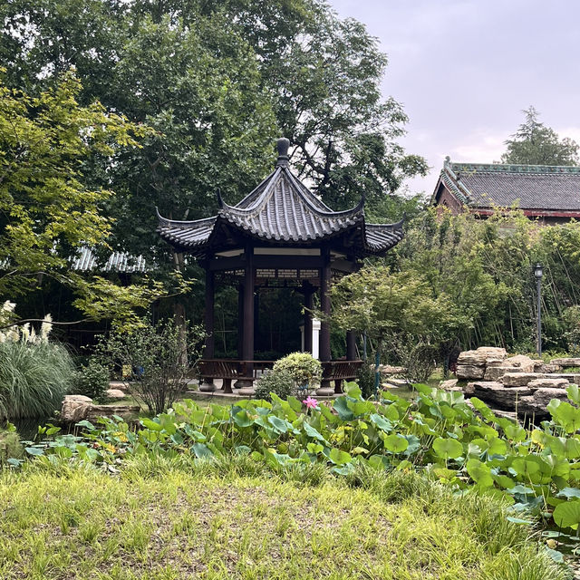 🌟 Top-free Zhengzhou Highlights (near metro stations)  🌟 Top-free Zhengzhou Highlights (near metro stations)