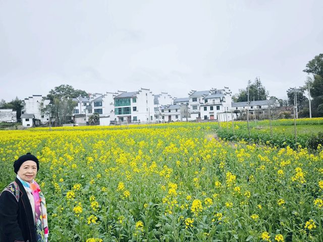 Yueliangwan Scenic Area Yueliangwan Scenic Area