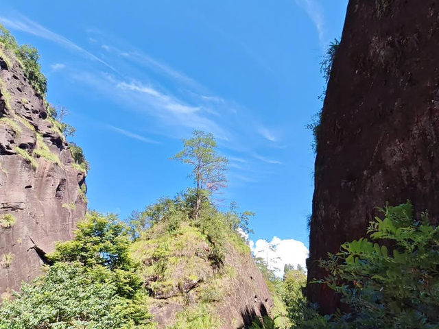 中國武夷 武夷山 武夷印象 武夷周邊