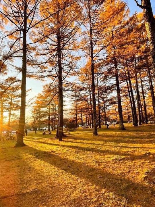 🍁✨ Nikko – The “Autumn Leaf Paradise” of Tochigi ✨🍂