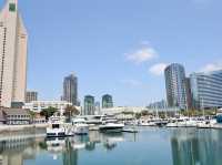 Sunny Vibes and Coastal Charm in San Diego