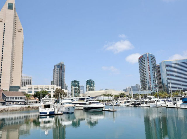 Sunny Vibes and Coastal Charm in San Diego