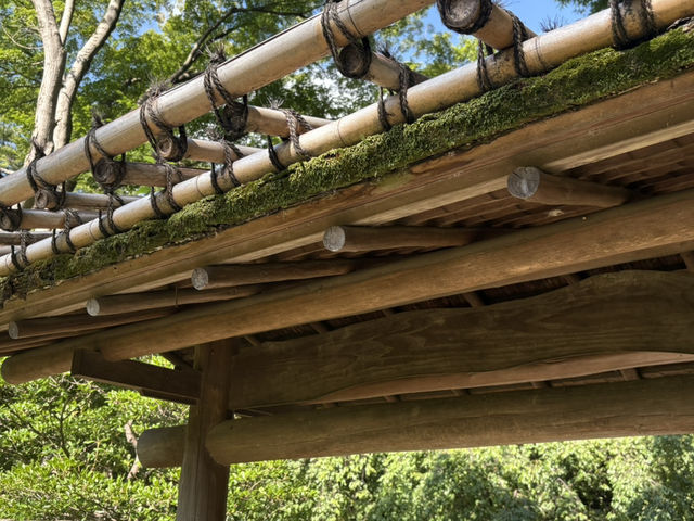 【東京・駒込】六義園で都会の静寂を満喫！四季折々の日本庭園美！