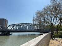 Waibaidu Bridge, Shanghai 🌉😎