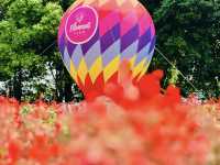 Songkhla Flower Farm
