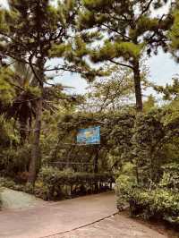 A Sanctuary for Nature Lovers