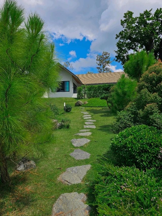 🌱 PASSA | ผัสสะ คาเฟ่ไร่ชา