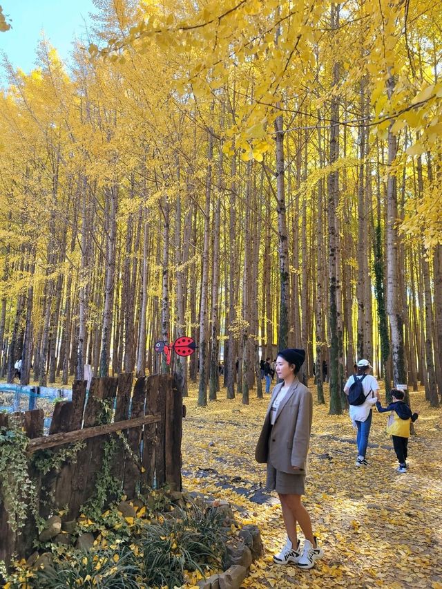 경주의 가을이 더 아름다워지는 이유💛