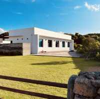 Scenic Views and Charming Outdoor Spaces