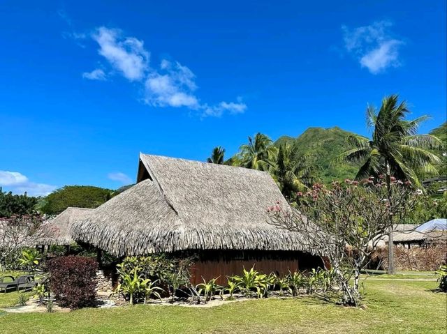 Tropical Bliss and Adventure on Moorea Island