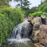 Chicago Botanic Garden – A Verdant Oasis of Beauty and Learning