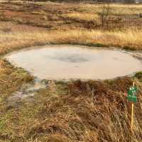 冰島黃金圈 史托克間歇泉 Strokkur｜蓋歇爾間歇泉區的必看噴泉