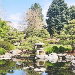 The Soloist's Mile-High Zen: Shofu-en Revisited