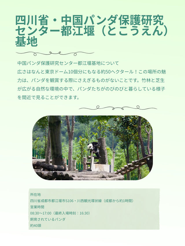 シャンシャンに会いたい！中国・四川省でパンダに会える場所