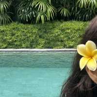 쉿! 🇮🇩 발리, 천국의 풀빌라 몰래 공개해요!