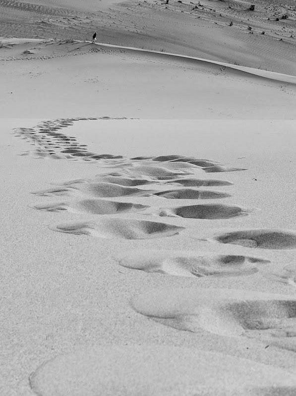 Khongoryn Els - Stunning and Unforgettable