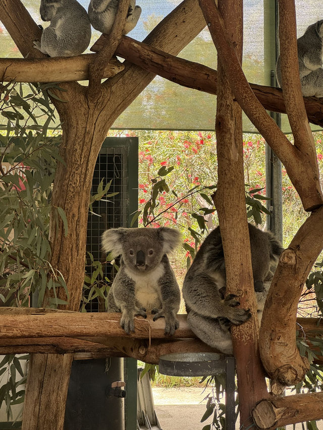 Short trip to Western Australia