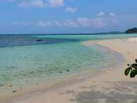 Trikora Beach Vibes🌴Trikora Beach 🏖️