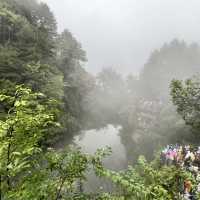 Zhangjiajie National Forest Park — East Gate One-Day Route That Actually Works