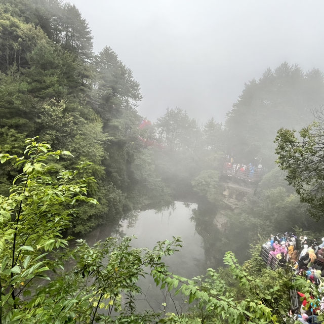 Zhangjiajie National Forest Park — East Gate One-Day Route That Actually Works Zhangjiajie National Forest Park — East Gate One-Day Route That Actually Works