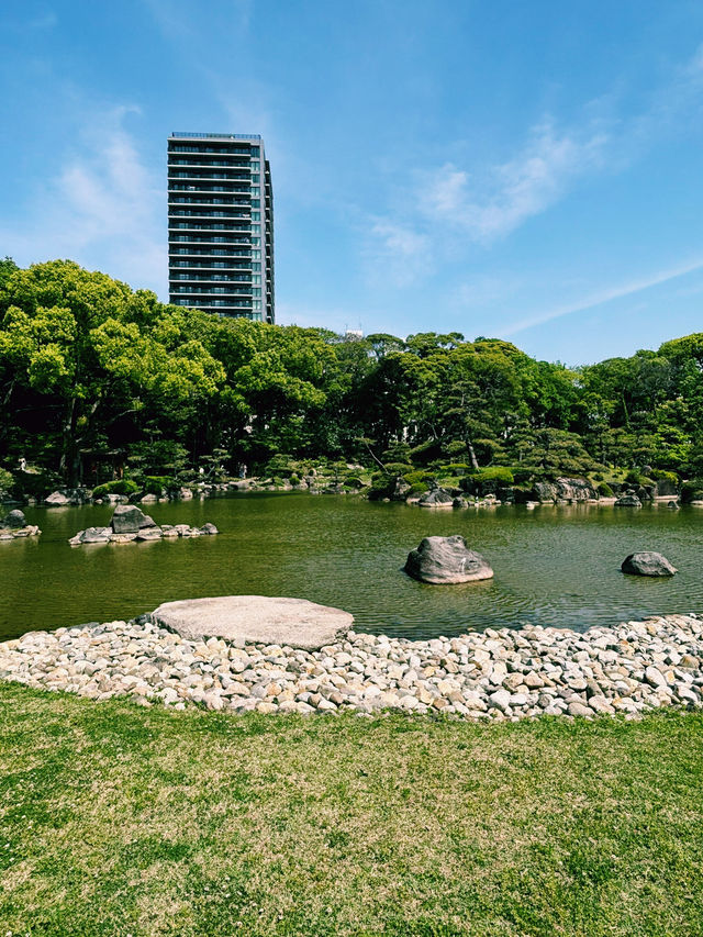 綠意水畔鳥影大阪漫遊🌳  