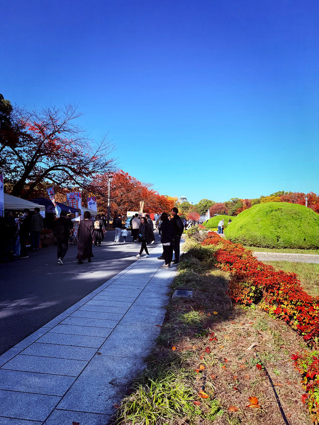 Osaka Leaf Bliss🍁  