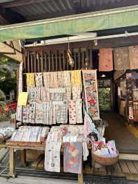 白川水源的清甜讓我懷疑人生——秋天喝到真正“活著的水”✨💧 ——舀湧泉倒進瓶子直接喝,乾淨到不科學;連用這裡的水做的醬油都香得太誇張