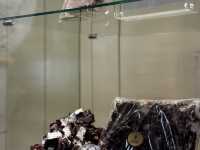 透明袋中的幸福甜點Haigh’s Chocolate攻略🔥 澳洲國民朱古力，入紐西蘭入境規則必看！