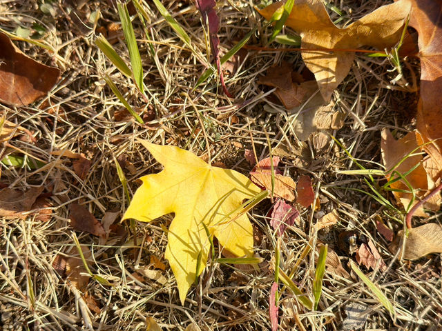 아직은 가을여행 중 😁🍁