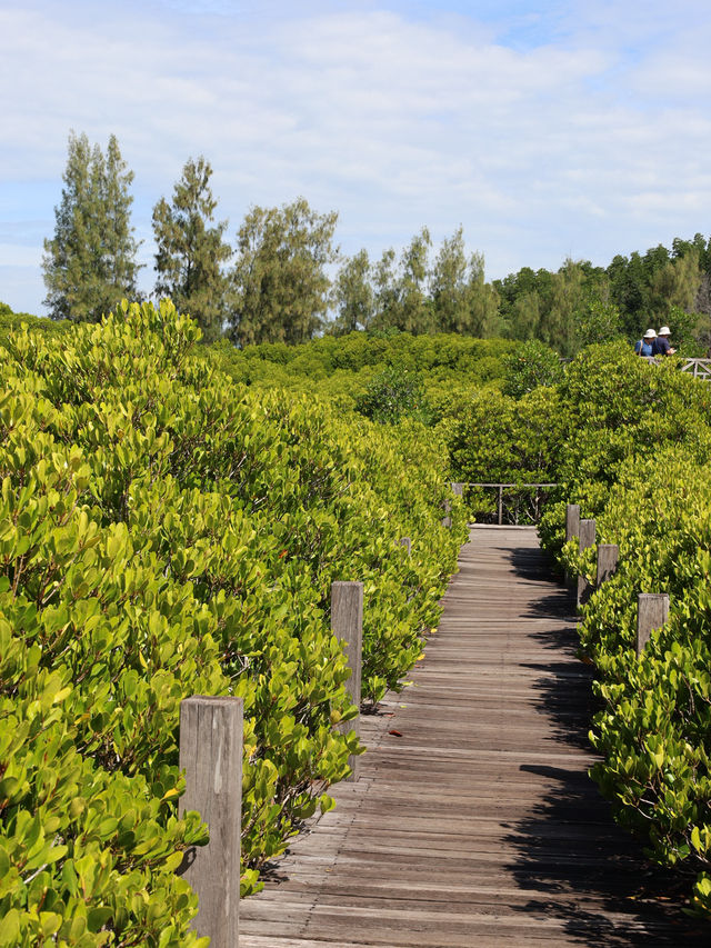 ทุ่งโปรงทอง 🌳 ทุ่งโปรงทอง 🌳