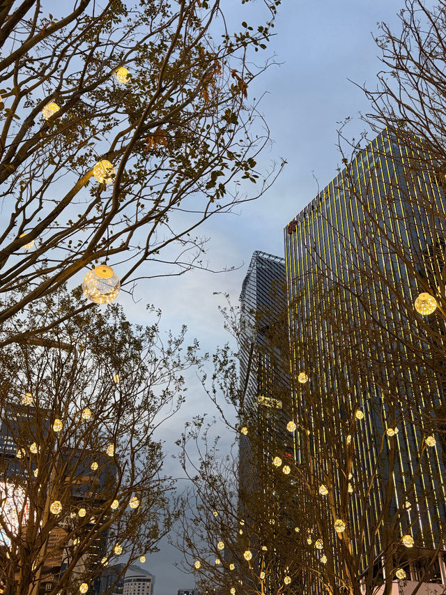 Shenzhen Nights✨ Shenzhen Nights✨