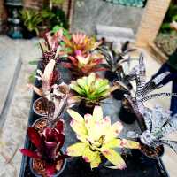 Dantewada Land of Angels Waterfall Park