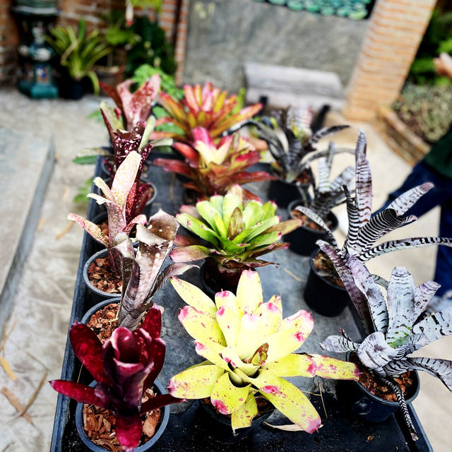 Dantewada Land of Angels Waterfall Park