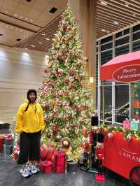 12월에 가장 빛나는 경주여행코스