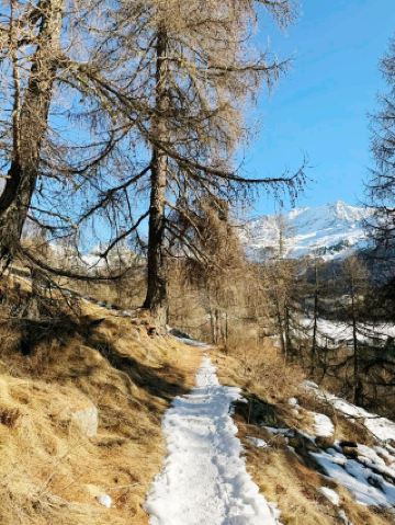 ski resort in the Uttarakhand