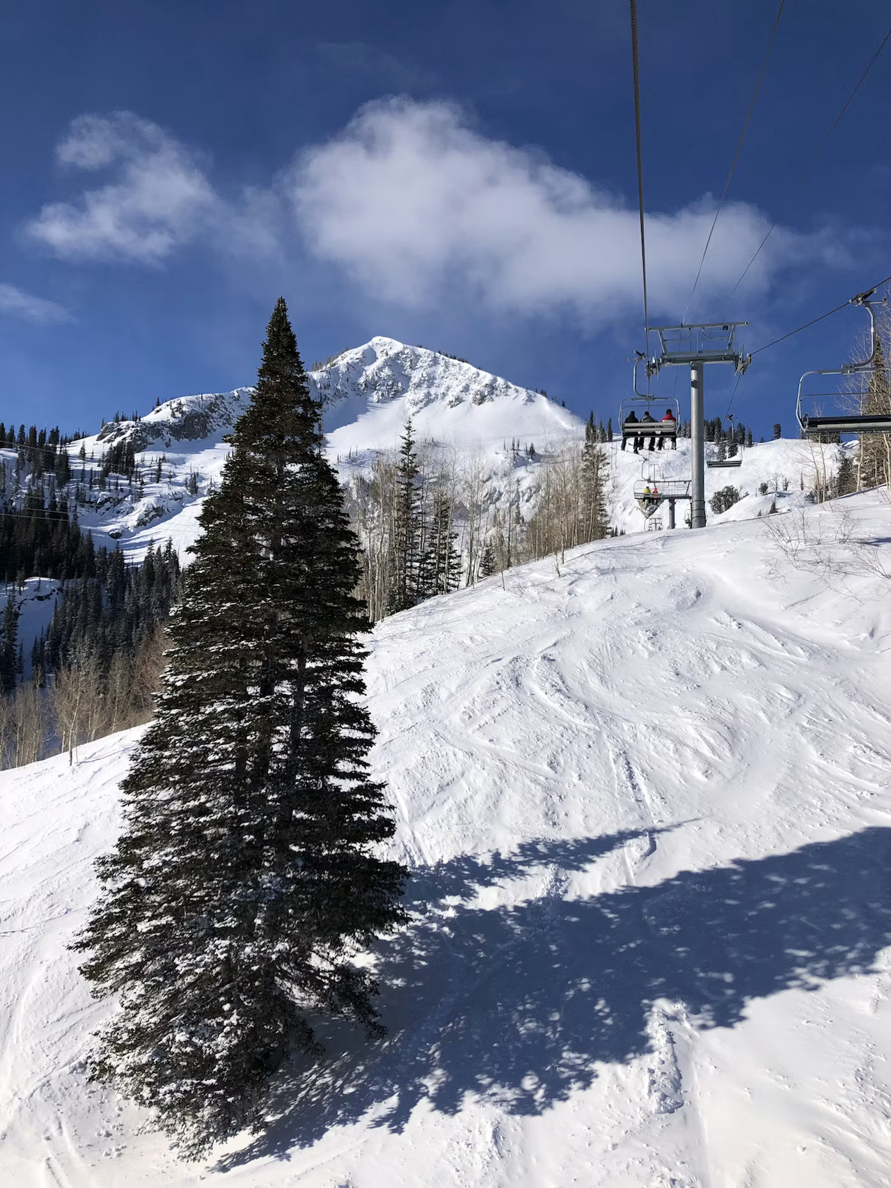 Wide Open Slopes and Easy Skiing in Vail