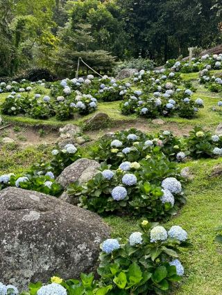 🇲🇾 โคตาคินาบาลู เอสเคป - ที่ซึ่งภูเขาบรรจบกับทะเล