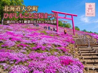 【北海道】丘一面がピンクに染まる絶景！ひがしもこと芝桜公園「しばさくら祭り」🌸
