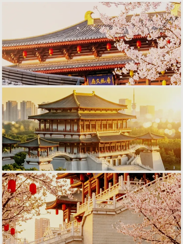 夢回大唐一日遊:從盛世繁華到睇波之夜。